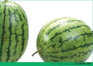 吃瓜过敏皮疹,揭秘过敏源与应对策略 第3张 吃瓜过敏皮疹,揭秘过敏源与应对策略 第3张